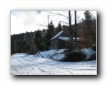 2010-02-20 Grossman (01) some houses along forest road